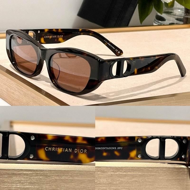 DIOR Sunglasses 210